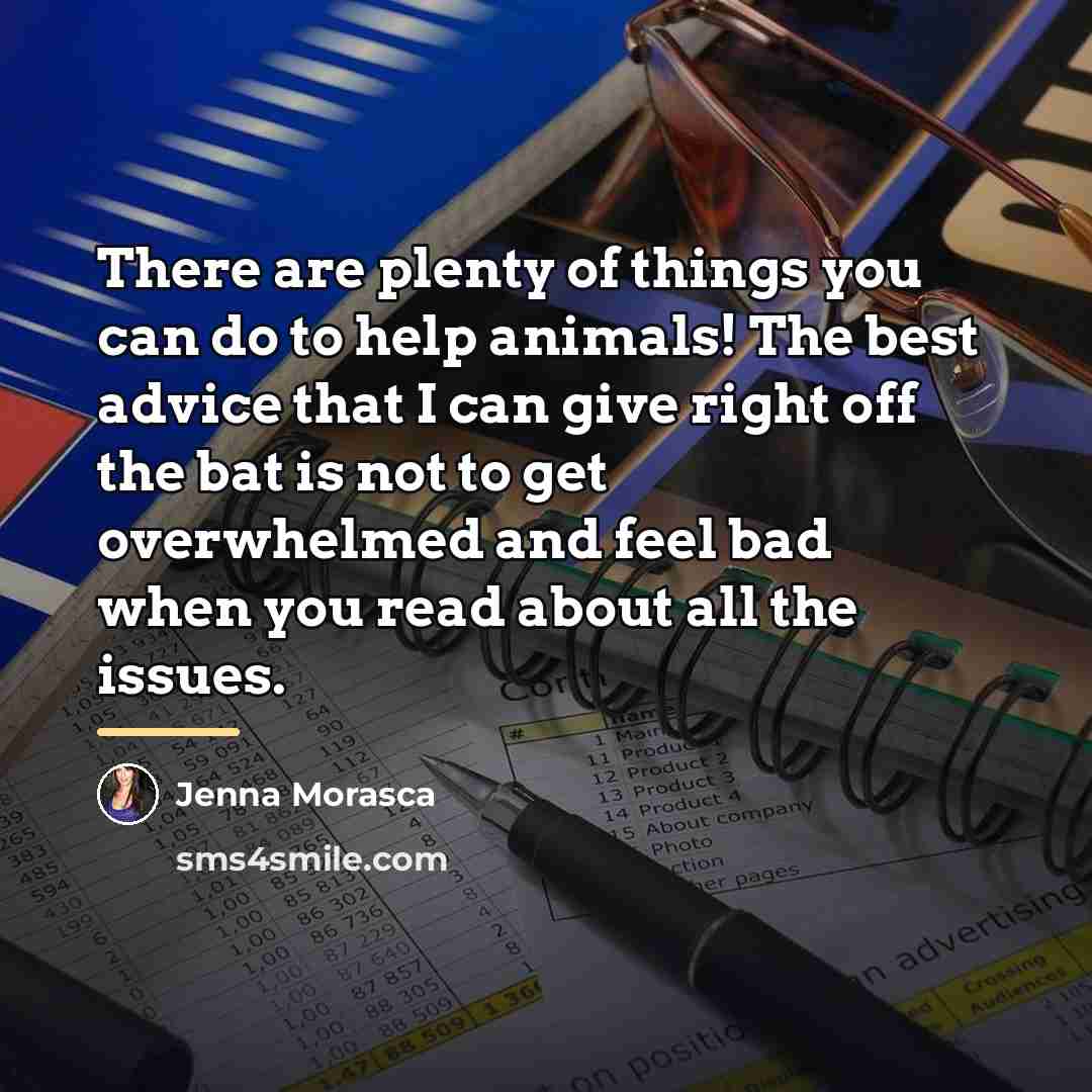 “There are plenty of things you can do to help…” quote by Jenna Morasca