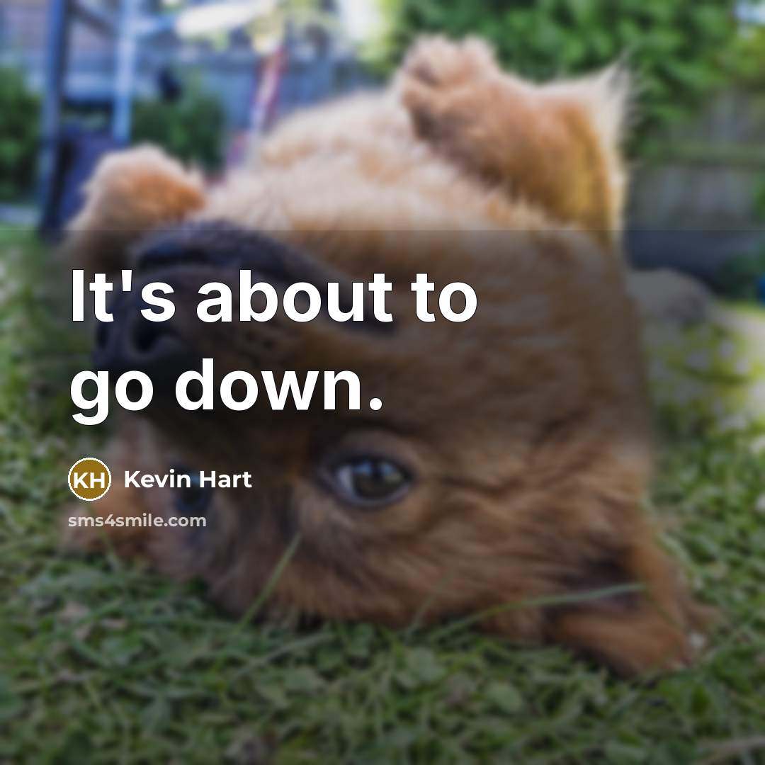 “It's about to go down.…” quote by Kevin Hart