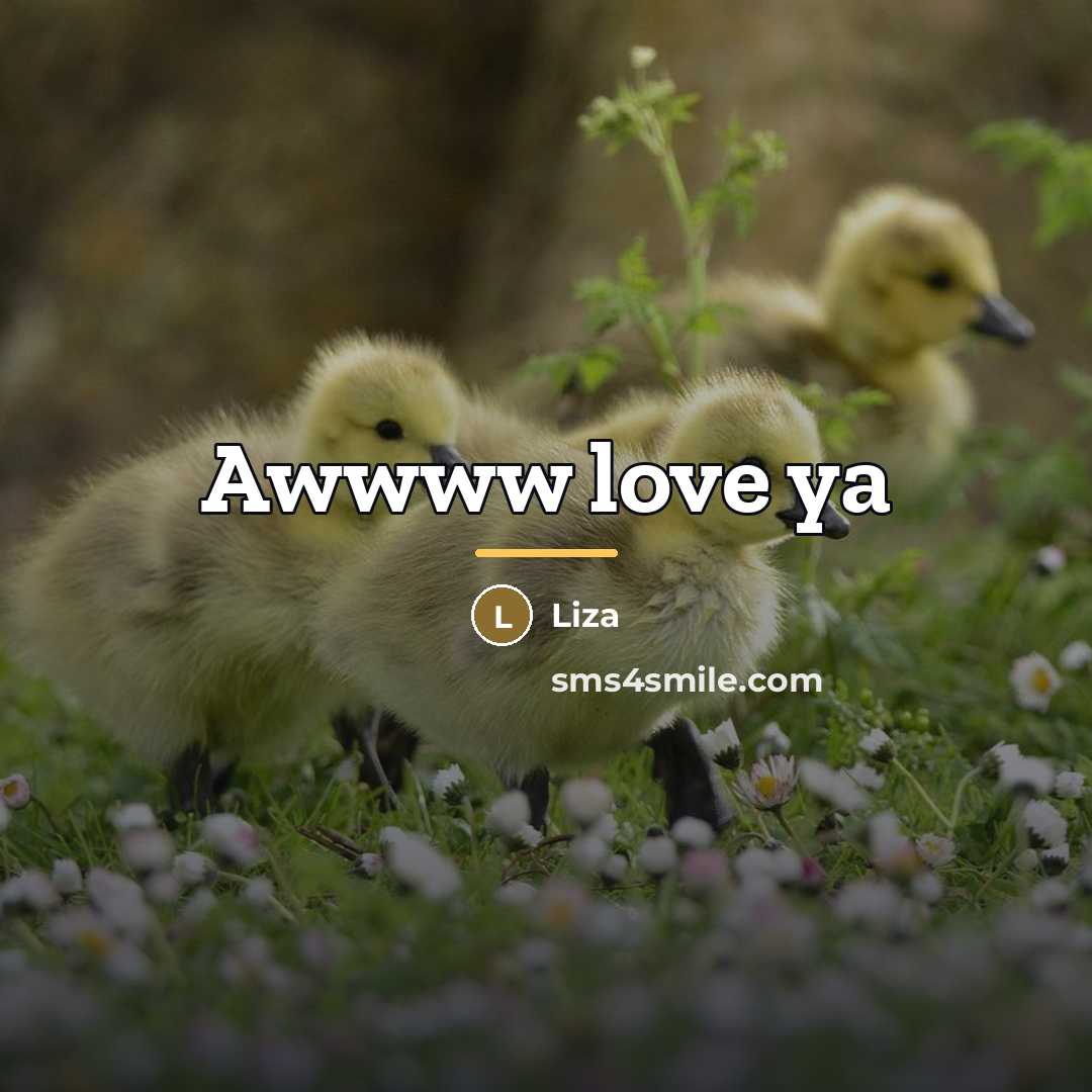 “Awwww love ya…” quote by Liza