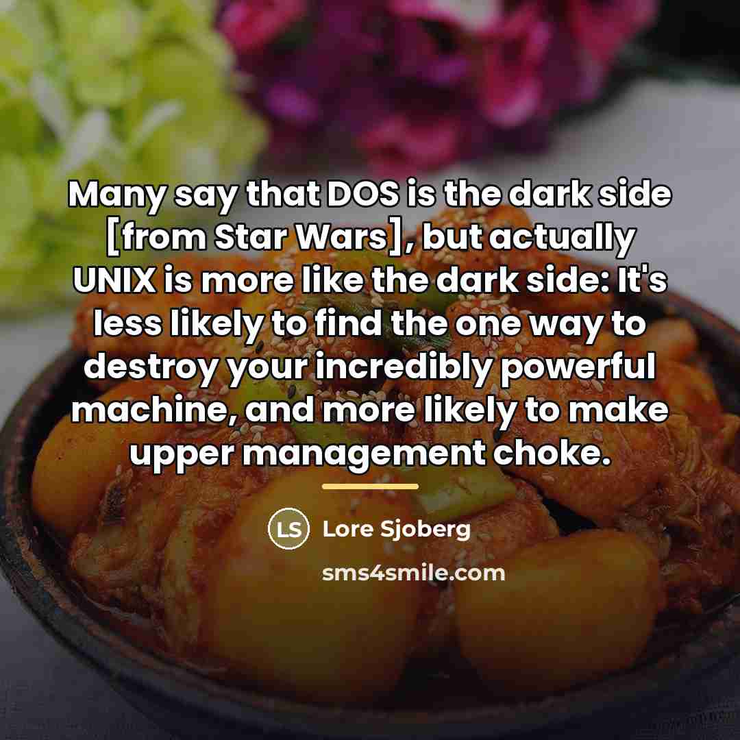 “Many say that DOS is the dark side [from Star…” quote by Lore Sjoberg