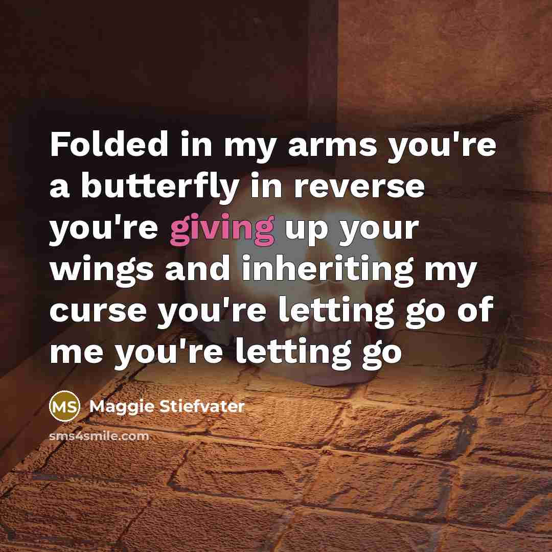 “Folded in my arms you're a butterfly in reverse you're…” quote by Maggie Stiefvater