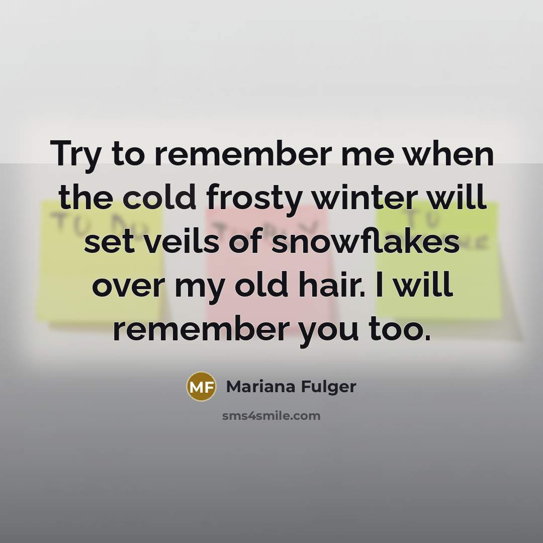 “Try to remember me when the cold frosty winter will set veils of snowflakes over my old hair. I will remember you too.” quote by Mariana Fulger