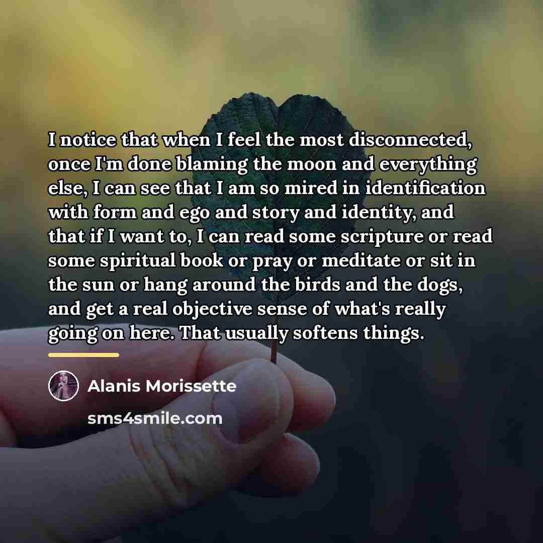 “I notice that when I feel the most disconnected, once…” quote by Alanis Morissette