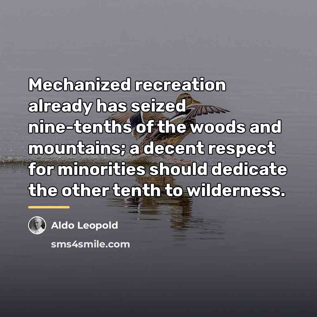 “Mechanized recreation already has seized nine-tenths of the woods and…” quote by Aldo Leopold