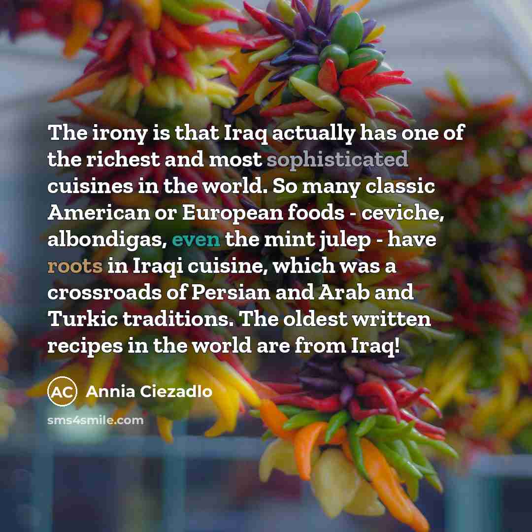 “The irony is that Iraq actually has one of the…” quote by Annia Ciezadlo