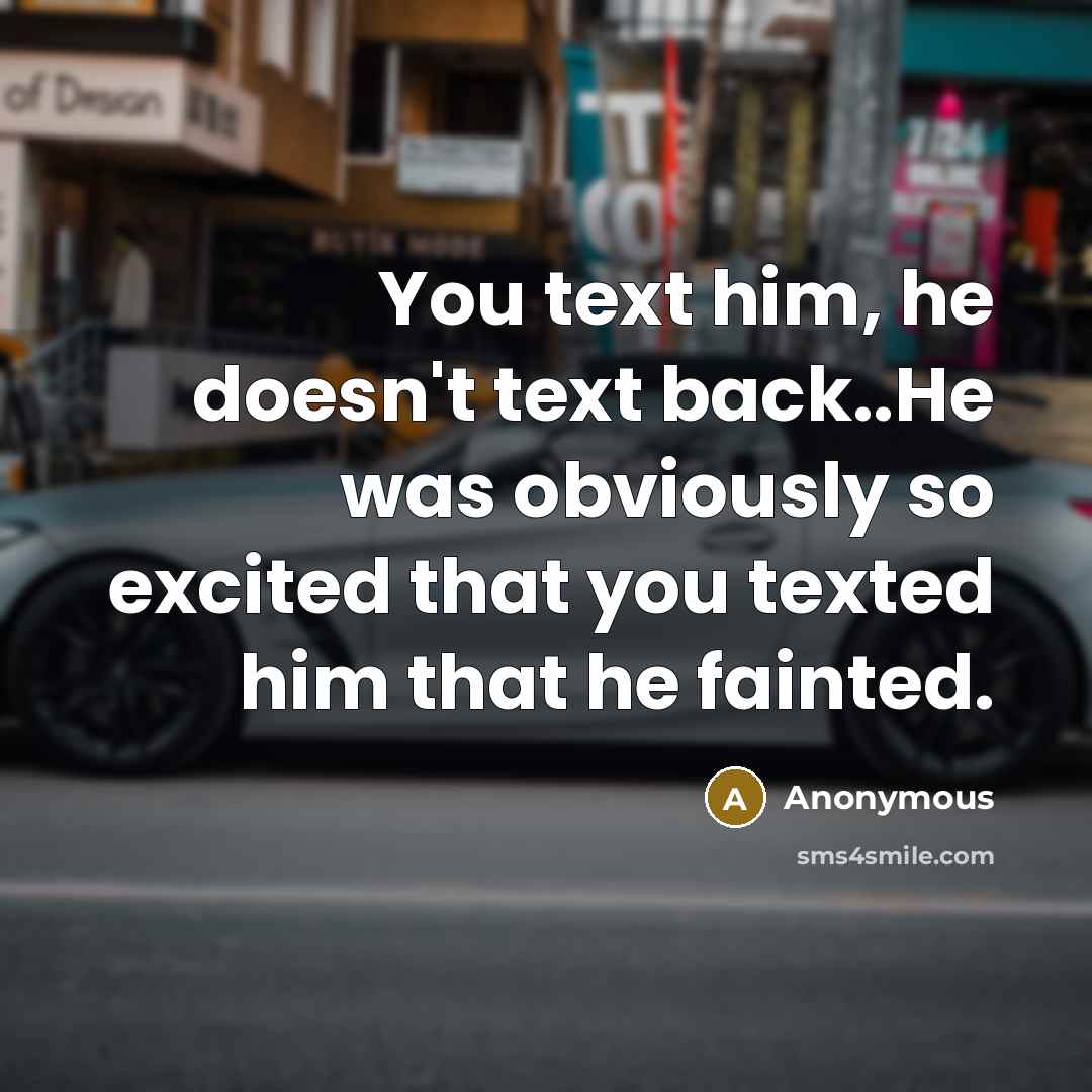 “You text him, he doesn't text back..He was obviously so excited that you texted him that he fainted.” quote by Anonymous