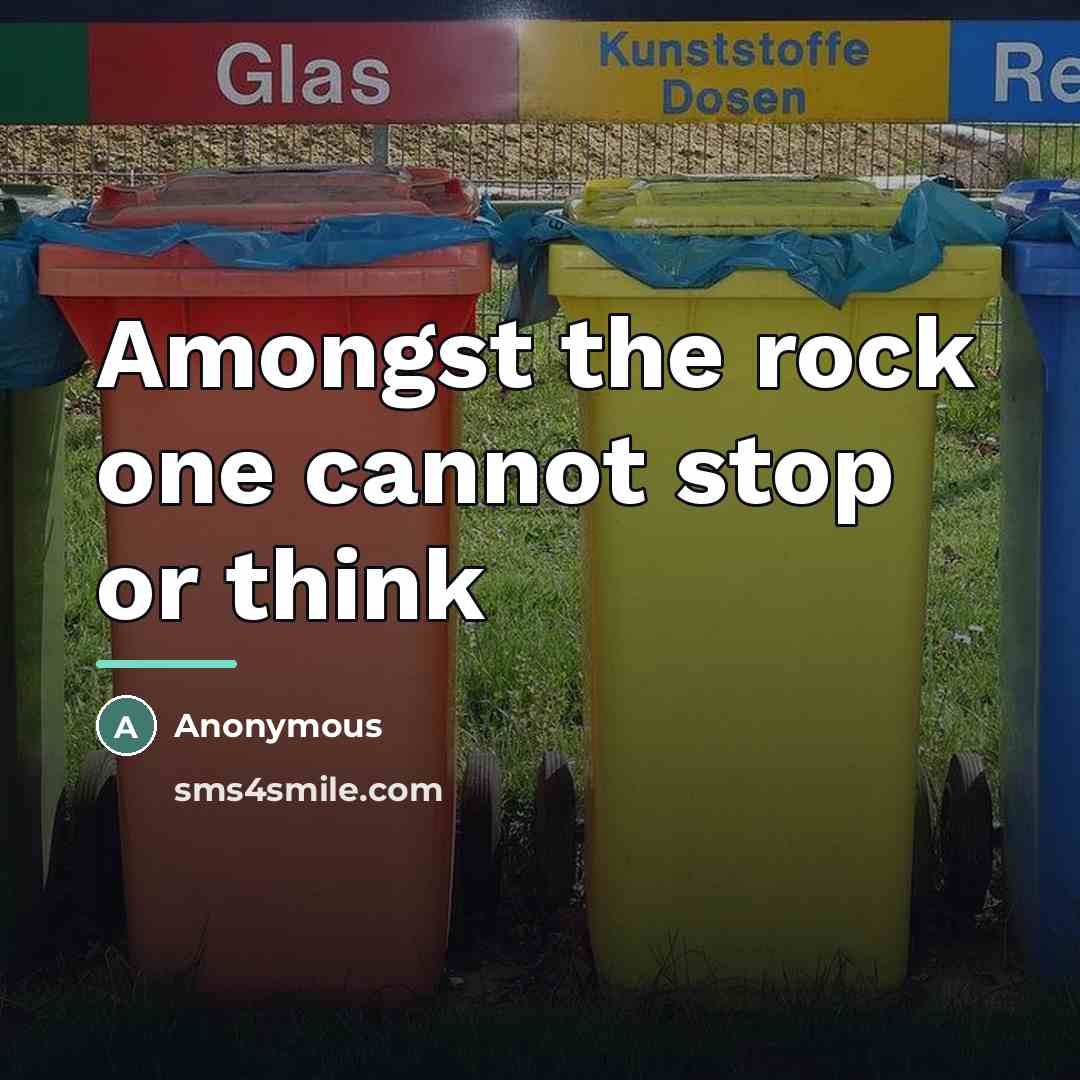 “Amongst the rock one cannot stop or think…” quote by Anonymous