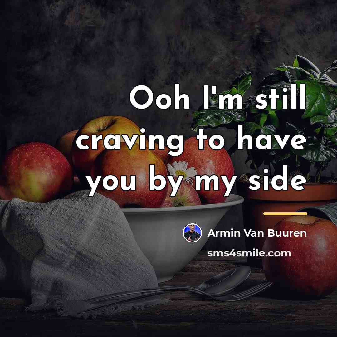 “Ooh I'm still craving to have you by my side…” quote by Armin Van Buuren