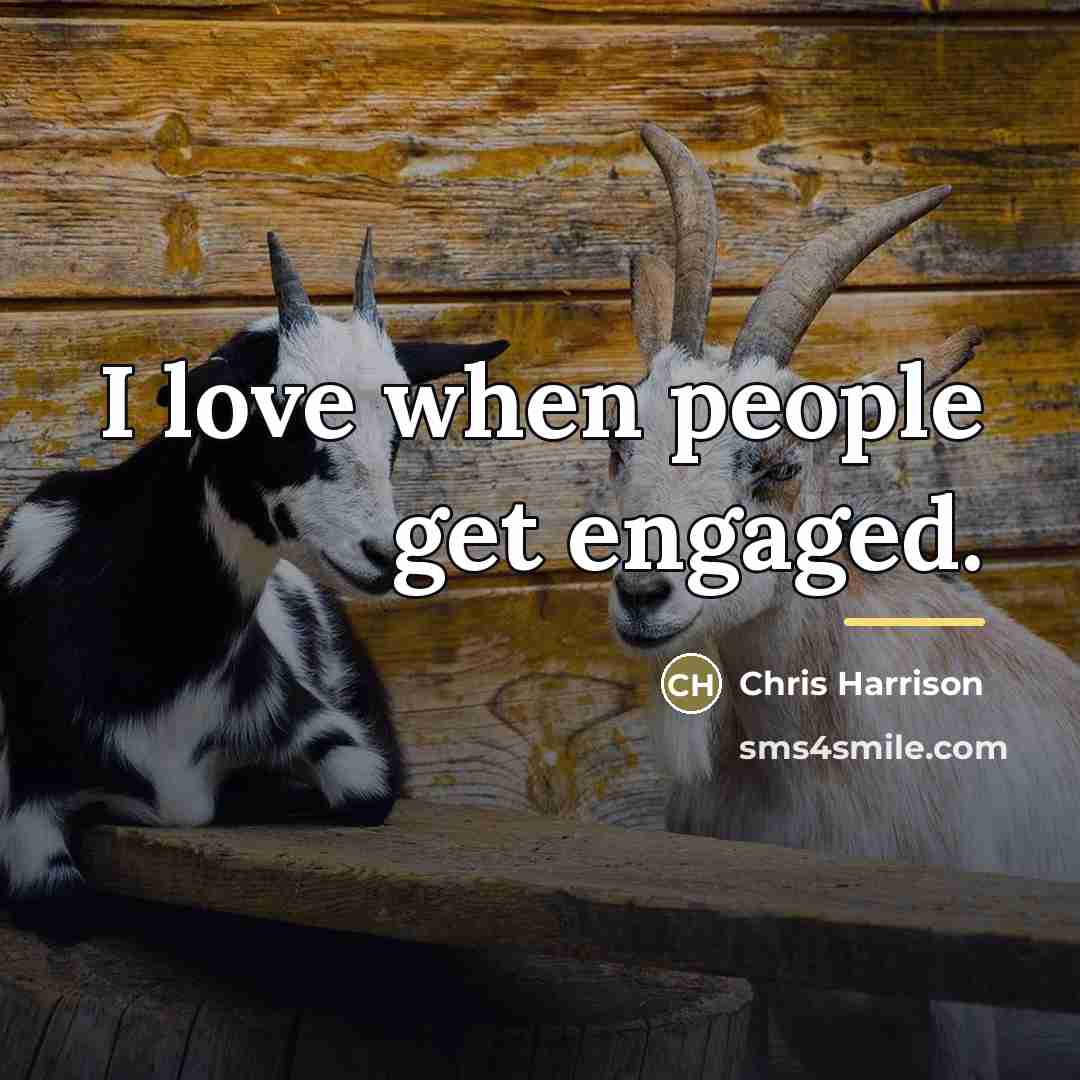 “I love when people get engaged.…” quote by Chris Harrison