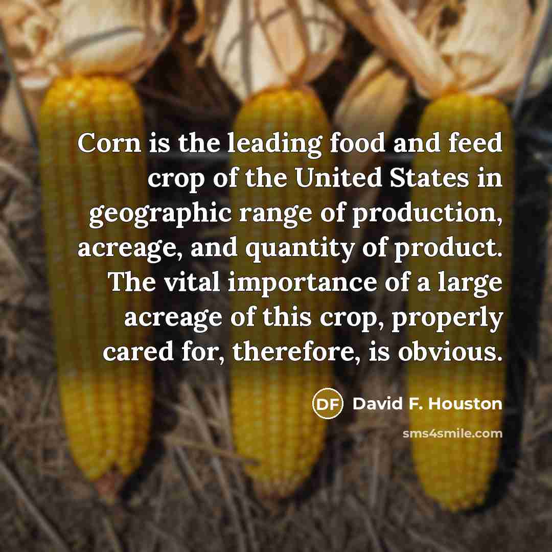 “Corn is the leading food and feed crop of the…” quote by David F. Houston