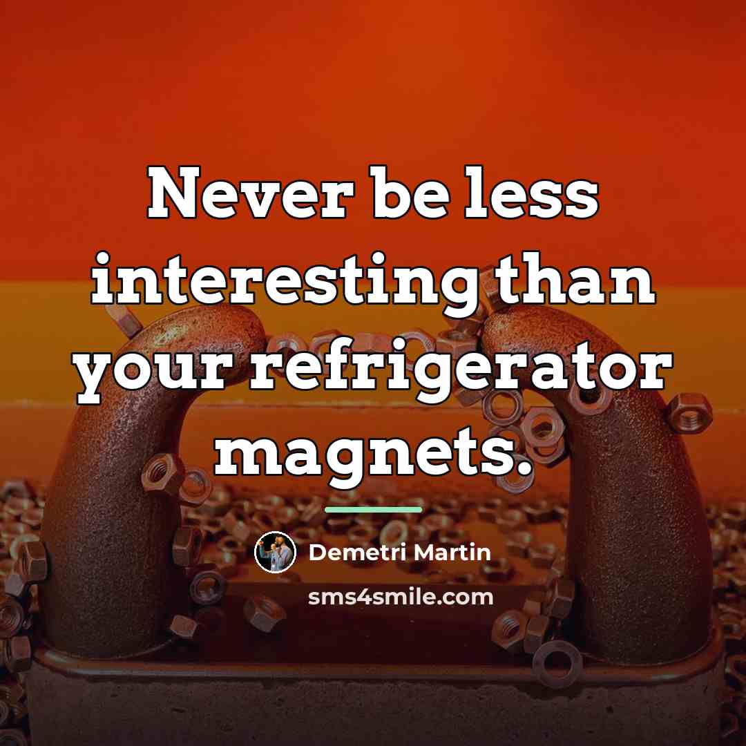 “Never be less interesting than your refrigerator magnets.…” quote by Demetri Martin