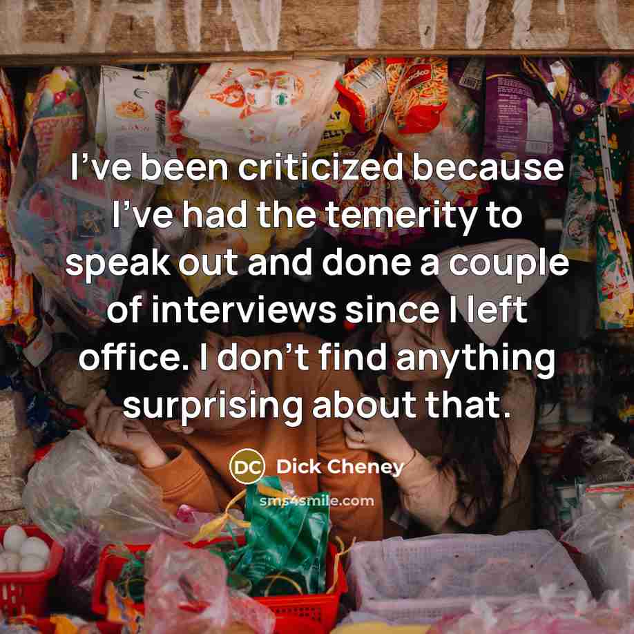“I've been criticized because I've had the temerity to speak…” quote by Dick Cheney