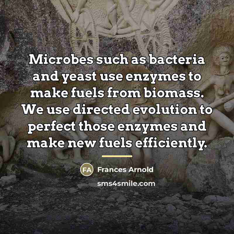 “Microbes such as bacteria and yeast use enzymes to make…” quote by Frances Arnold