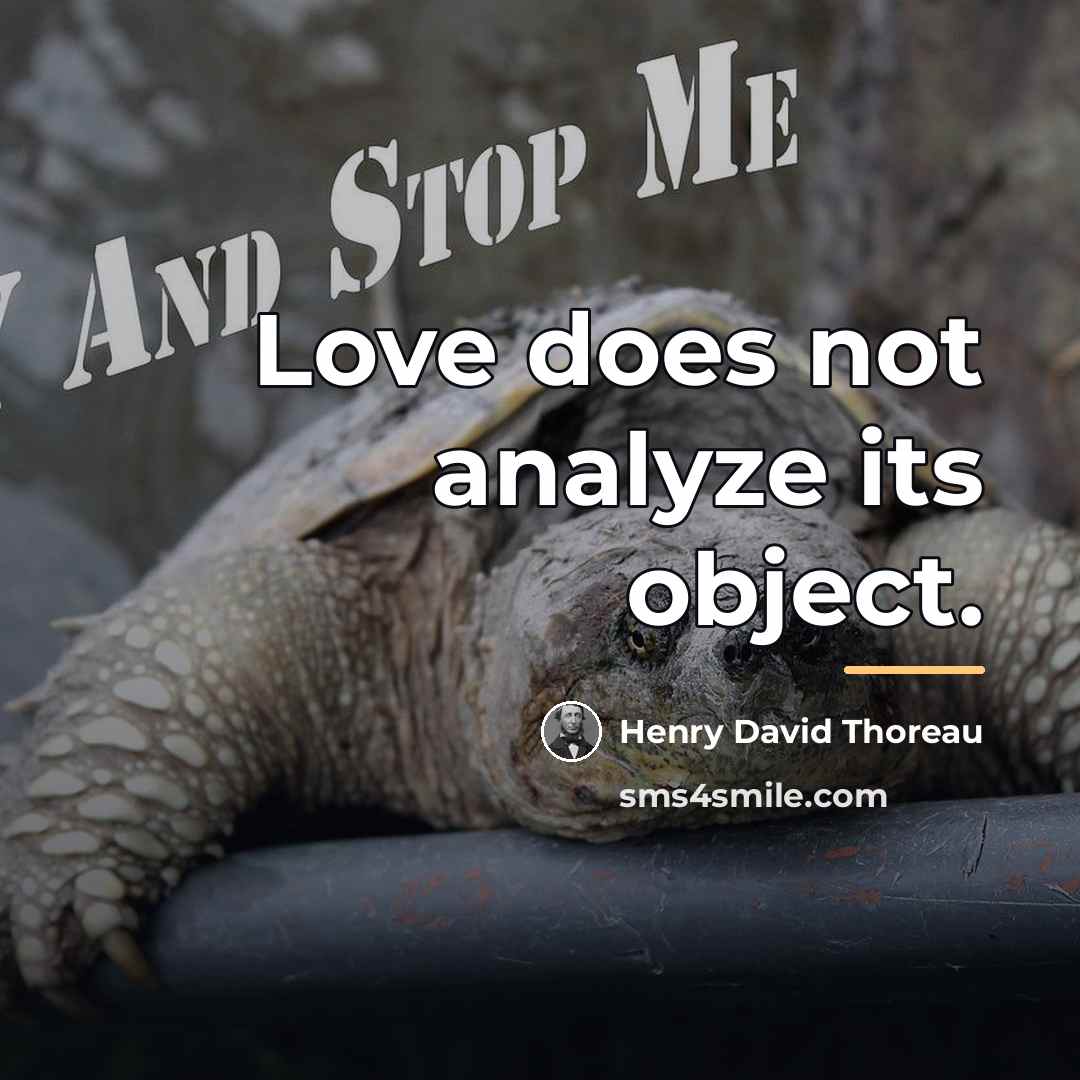“Love does not analyze its object.…” quote by Henry David Thoreau