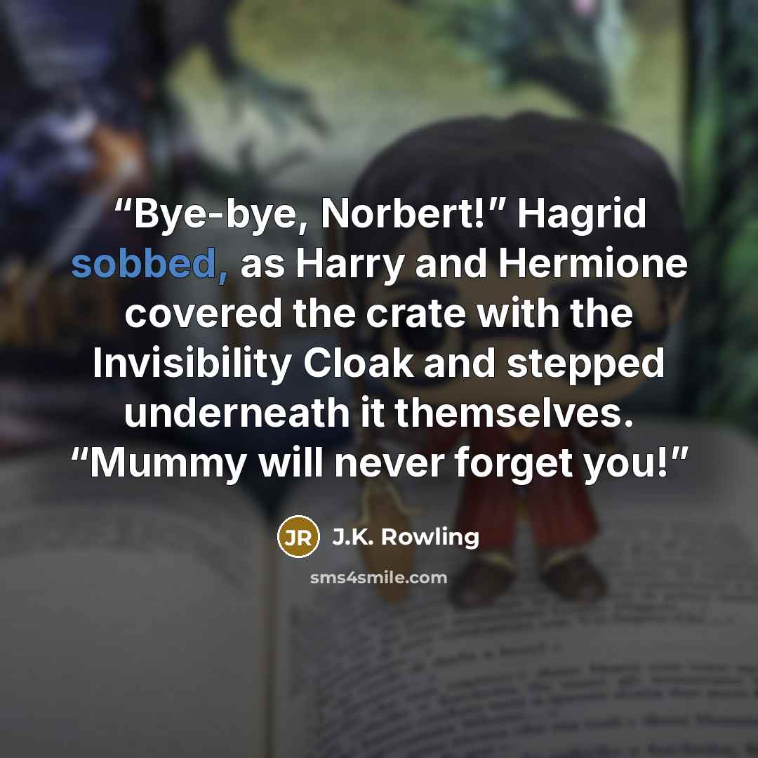“Bye-bye, Norbert!” Hagrid sobbed, as Harry and Hermione covered the crate with the Invisibility Cloak and stepped underneath it themselves. “Mummy will never forget you!” quote by J.K. Rowling