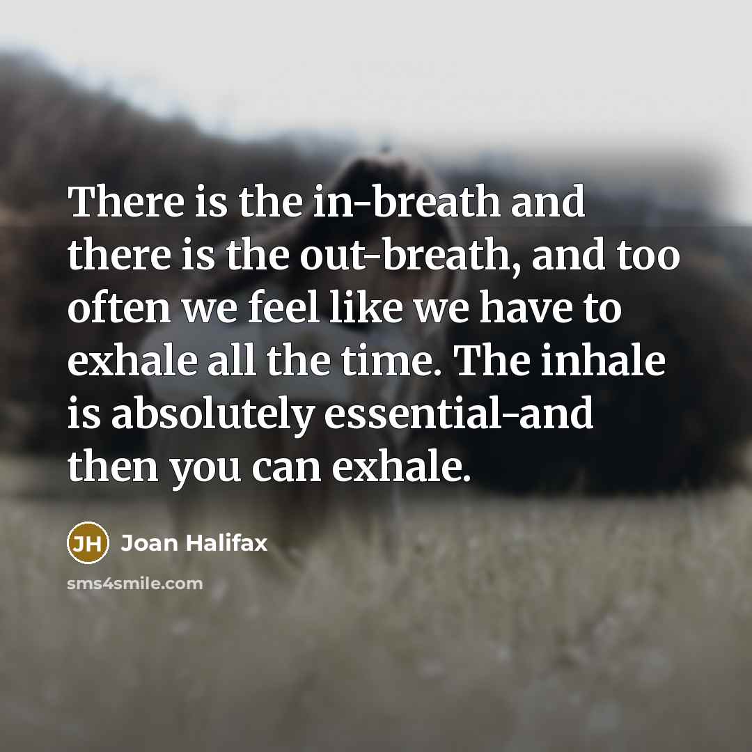 “There is the in-breath and there is the out-breath, and too often we feel like we have to exhale all the time. The inhale is absolutely essential-and then you can exhale.” quote by Joan Halifax