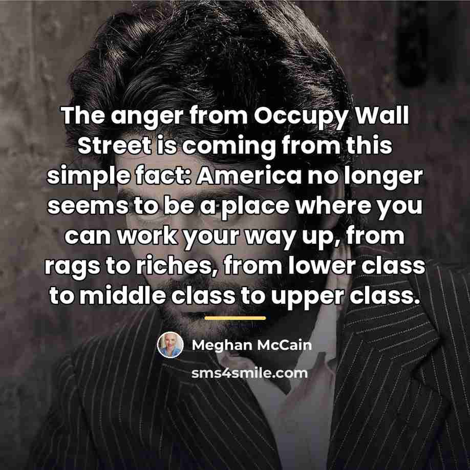 “The anger from Occupy Wall Street is coming from this…” quote by Meghan McCain