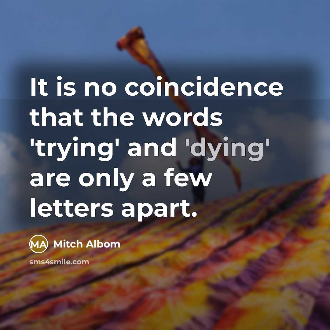 “It is no coincidence that the words 'trying' and 'dying'…” quote by Mitch Albom