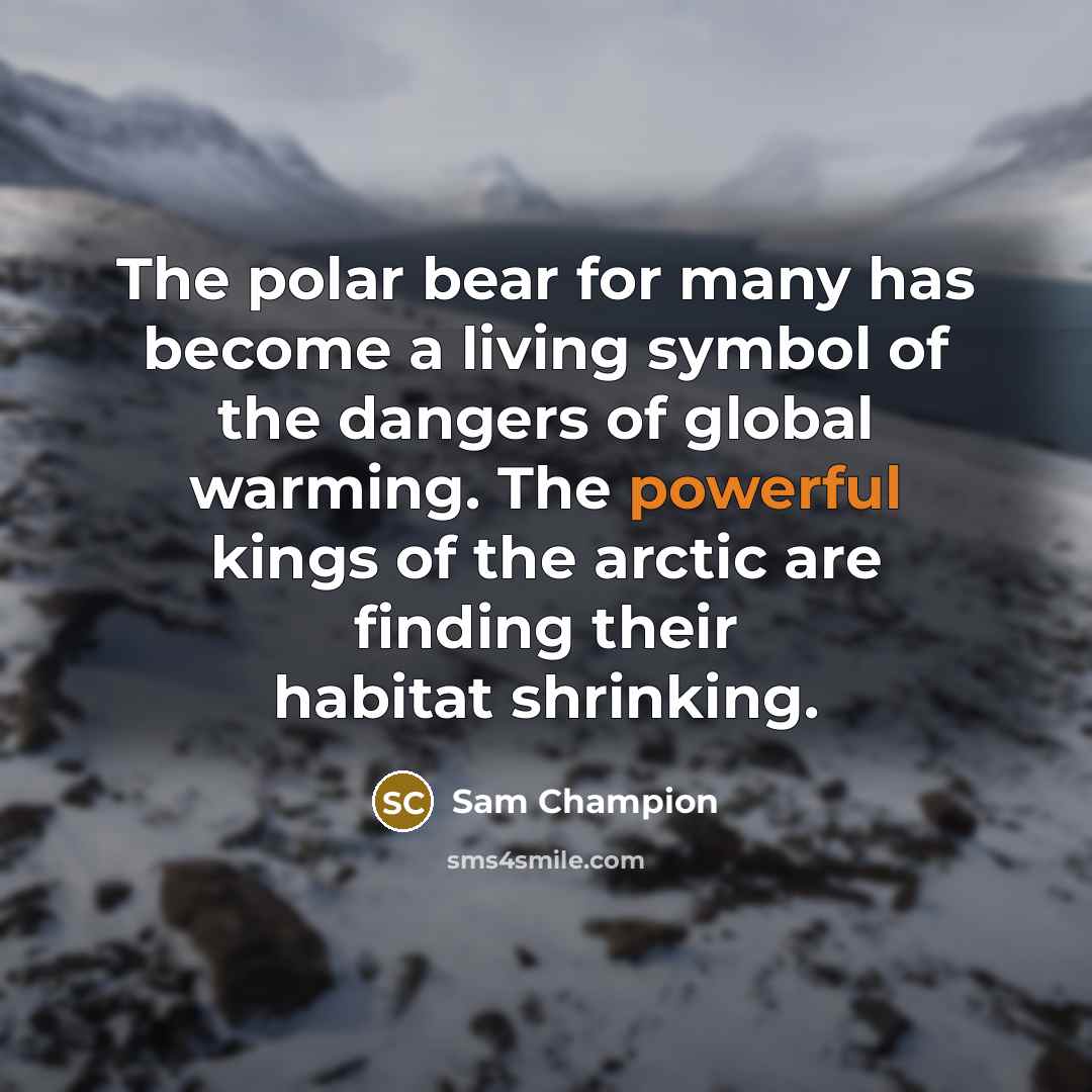 “The polar bear for many has become a living symbol…” quote by Sam Champion