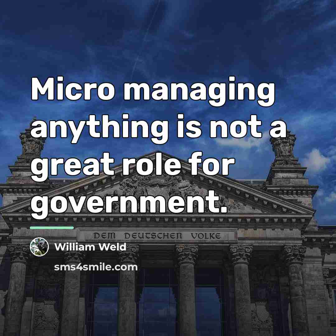 “Micro managing anything is not a great role for government.…” quote by William Weld
