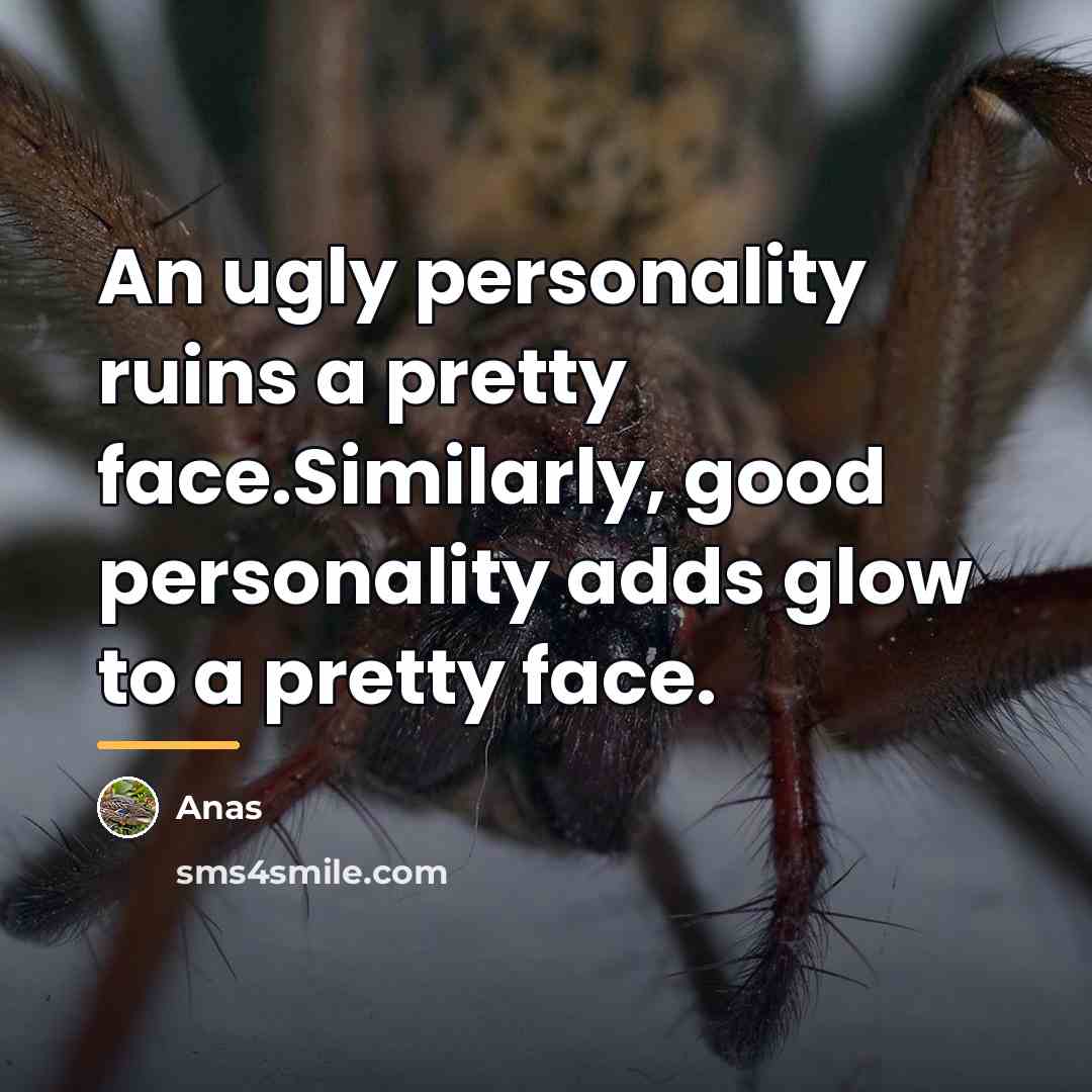 “An ugly personality ruins a pretty face.Similarly, good personality adds…” quote by Anas