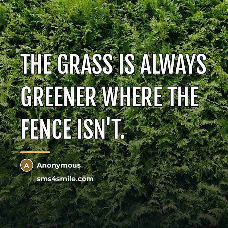 “The grass is always greener where the fence isn't.…” quote by Anonymous