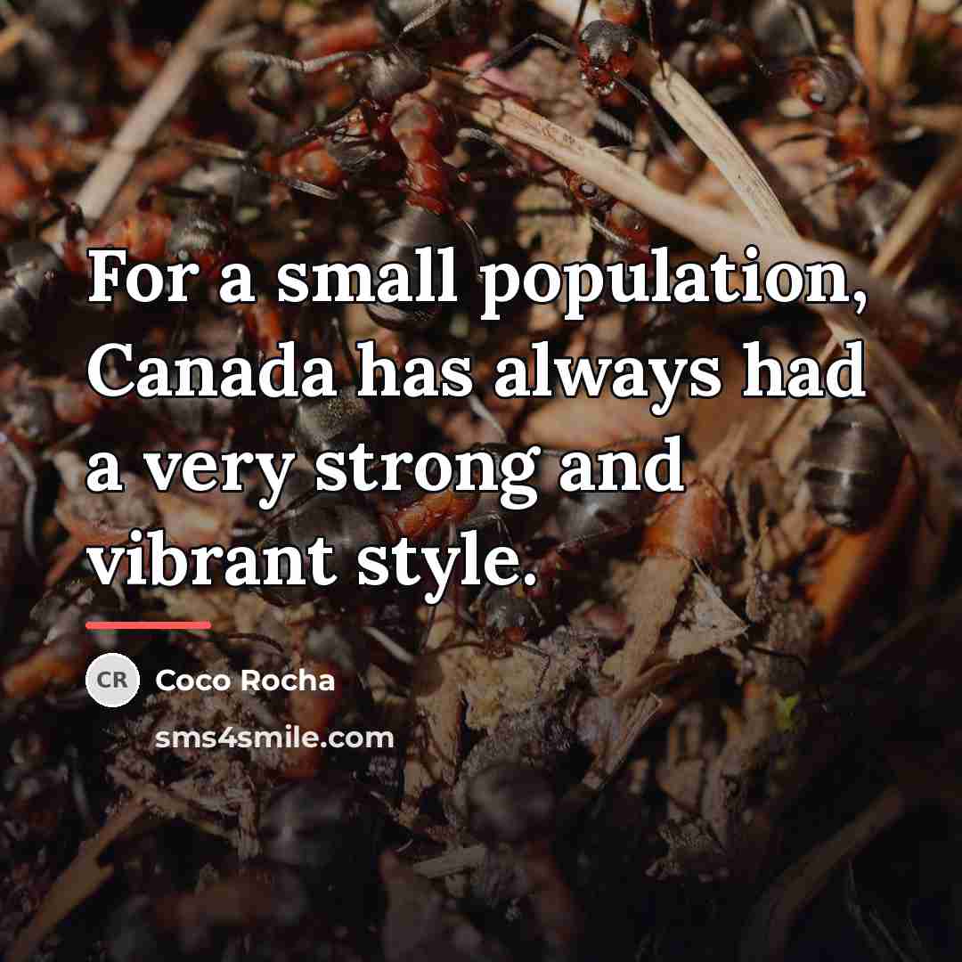 “For a small population, Canada has always had a very…” quote by Coco Rocha