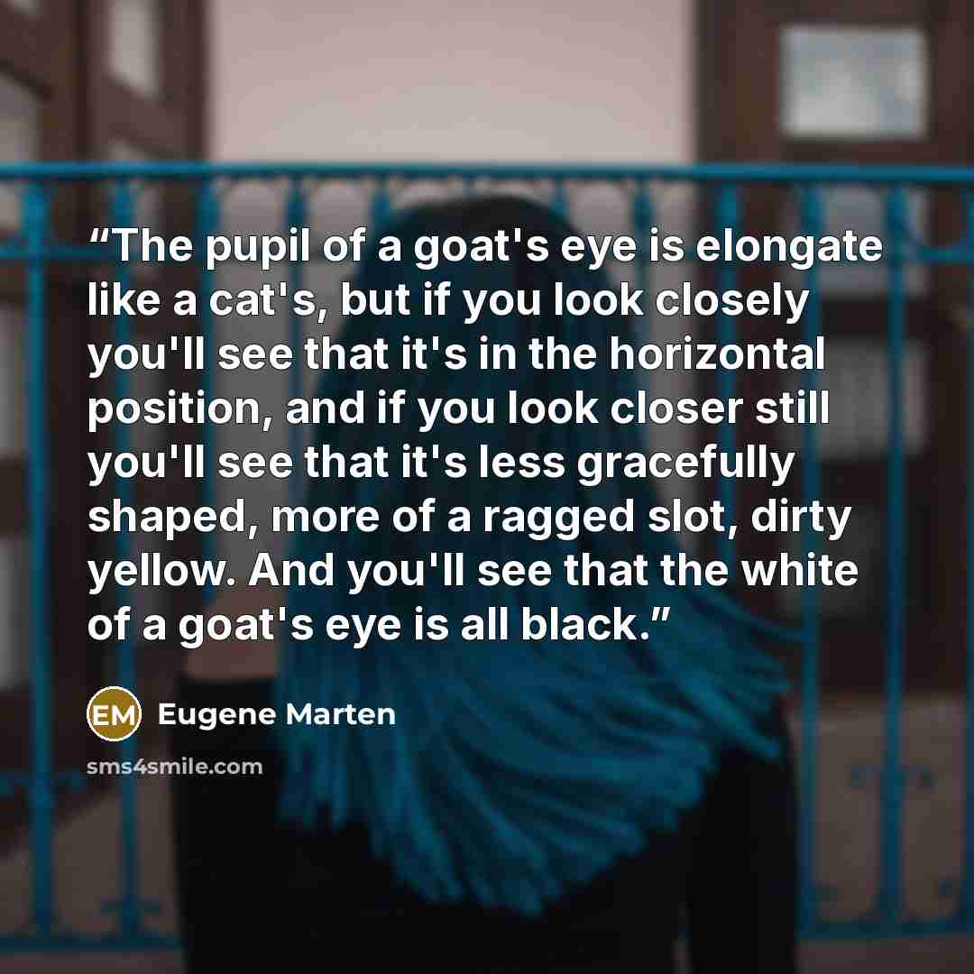 “The pupil of a goat's eye is elongate like a cat's, but if you look closely you'll see that it's in the horizontal position, and if you look closer still you'll see that it's less gracefully shaped, more of a ragged slot, dirty yellow. And you'll see that the white of a goat's eye is all black.” quote by Eugene Marten