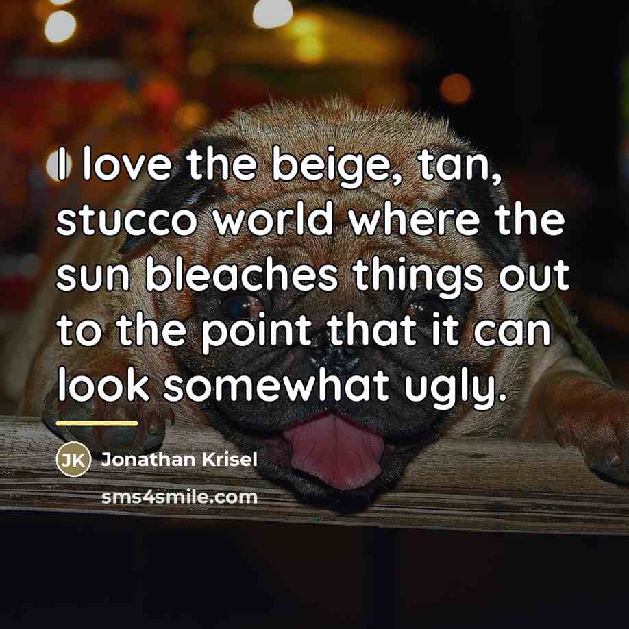 “I love the beige, tan, stucco world where the sun…” quote by Jonathan Krisel