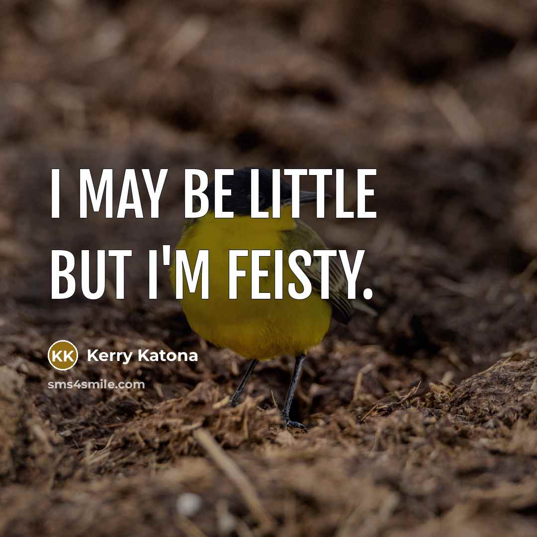 “I may be little but I'm feisty.…” quote by Kerry Katona