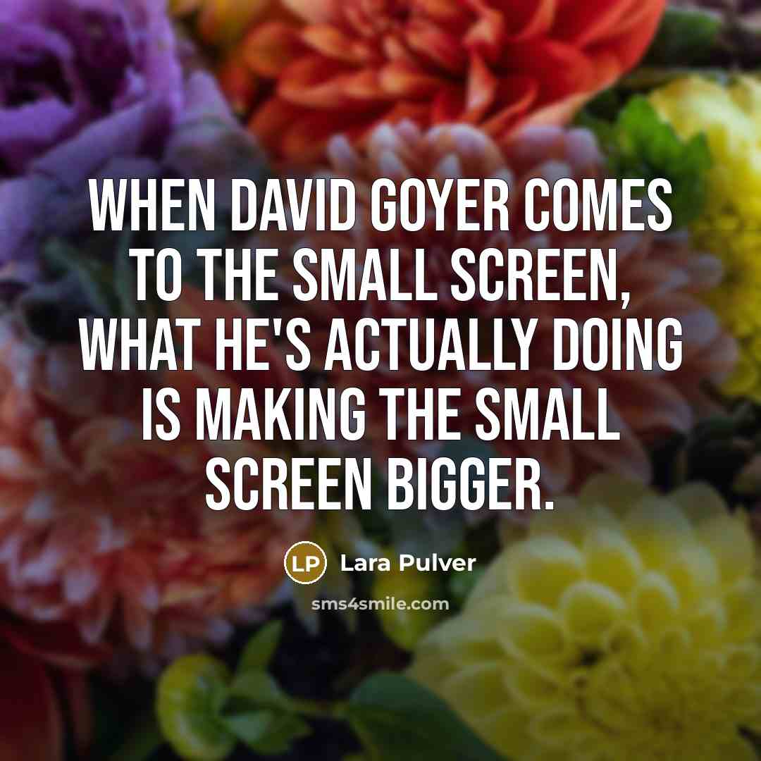 “When David Goyer comes to the small screen, what he's…” quote by Lara Pulver