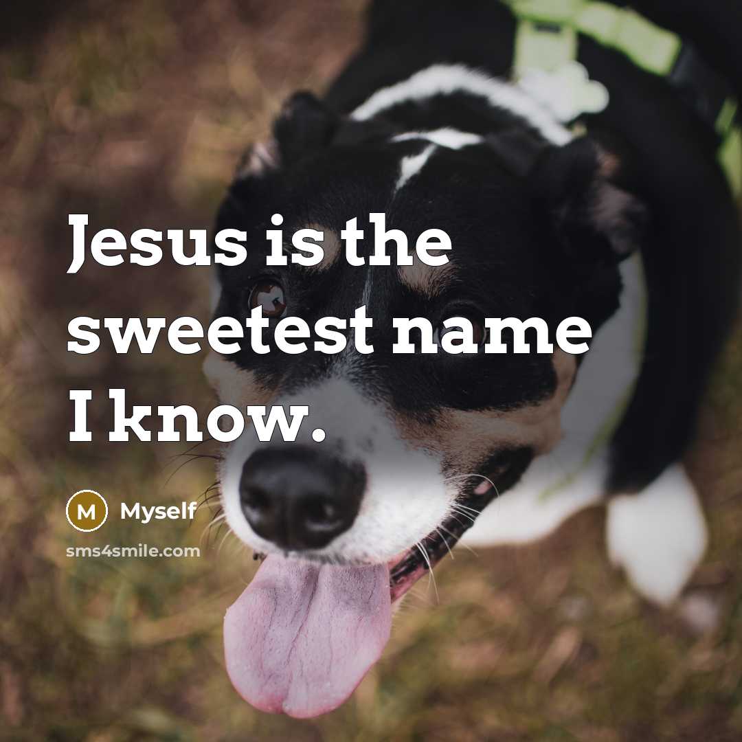“Jesus is the sweetest name I know.…” quote by Myself