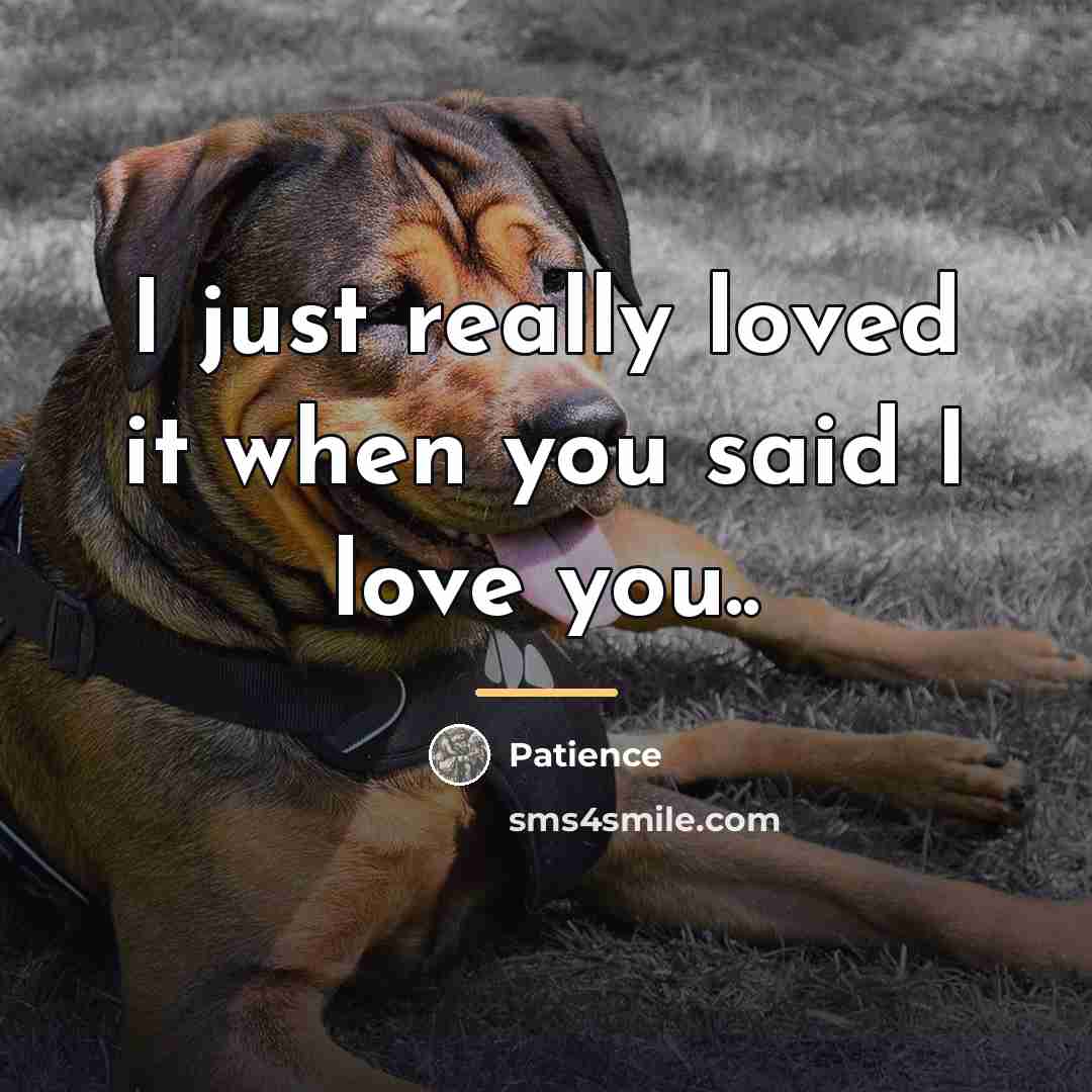 “I just really loved it when you said I love…” quote by Patience
