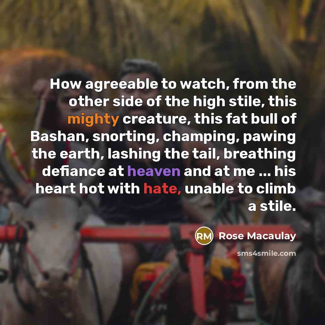 “How agreeable to watch, from the other side of the…” quote by Rose Macaulay