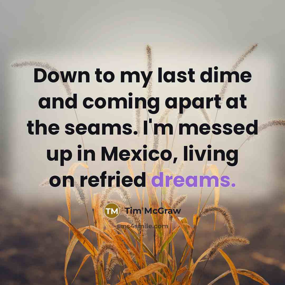 “Down to my last dime and coming apart at the…” quote by Tim McGraw