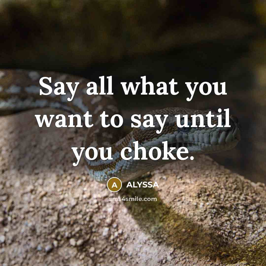 “Say all what you want to say until you choke.” quote by ALYSSA