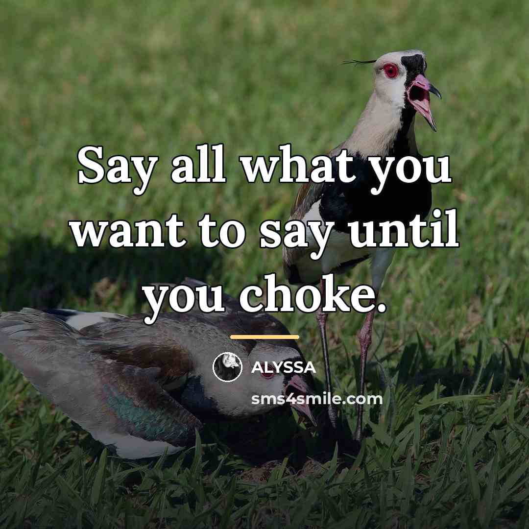“Say all what you want to say until you choke.…” quote by ALYSSA