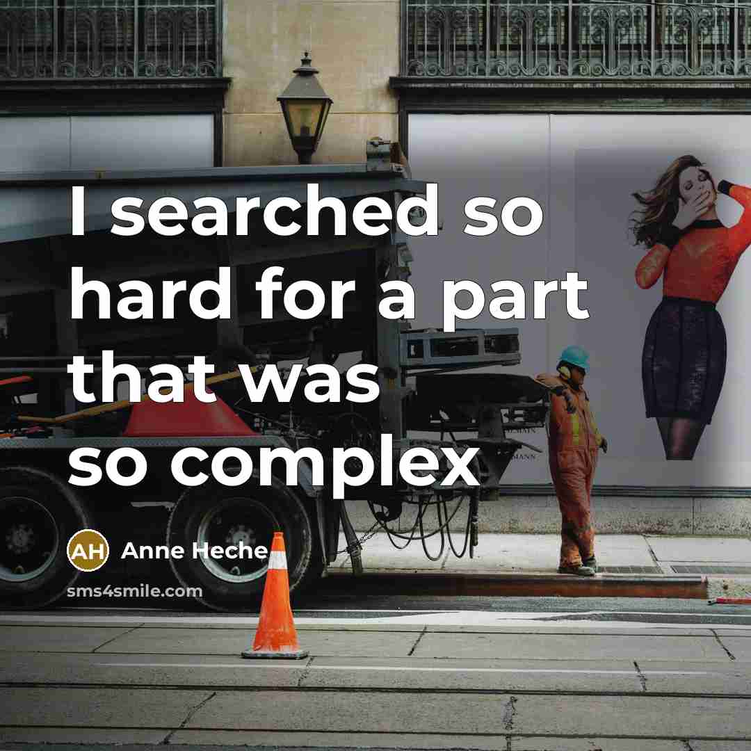“I searched so hard for a part that was so…” quote by Anne Heche