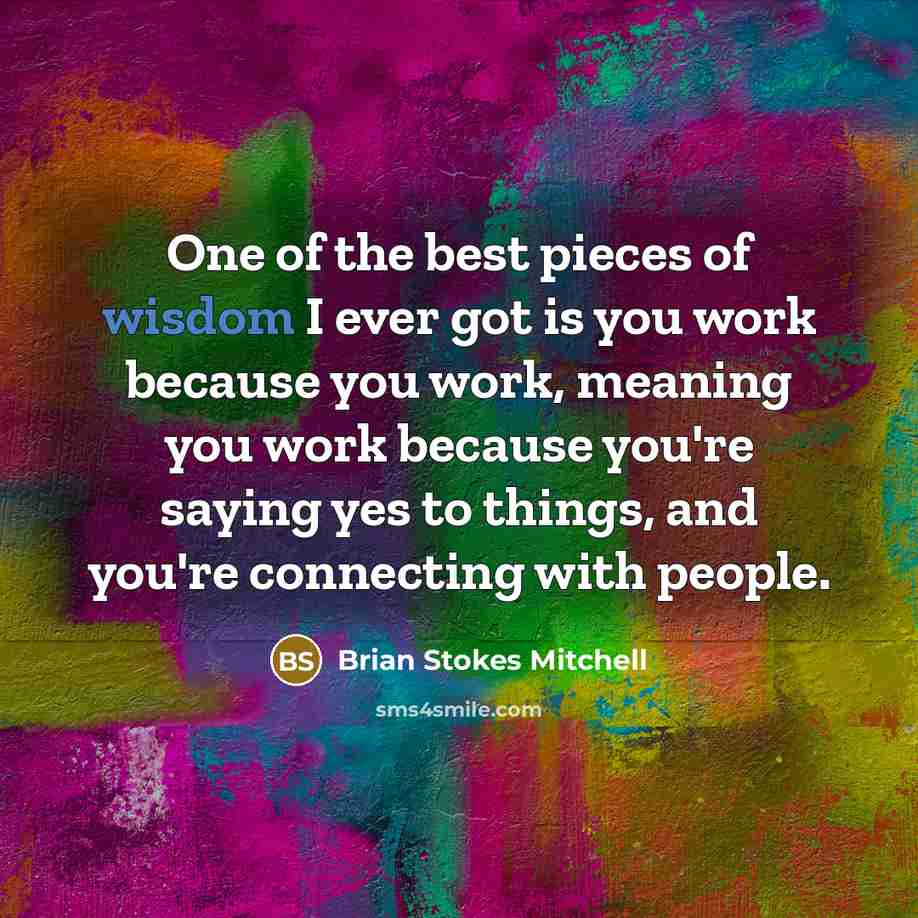 “One of the best pieces of wisdom I ever got…” quote by Brian Stokes Mitchell