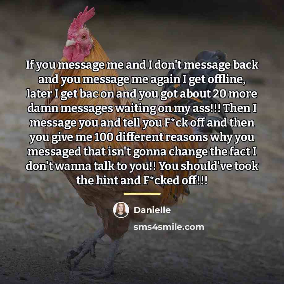 “If you message me and I don't message back and…” quote by Danielle