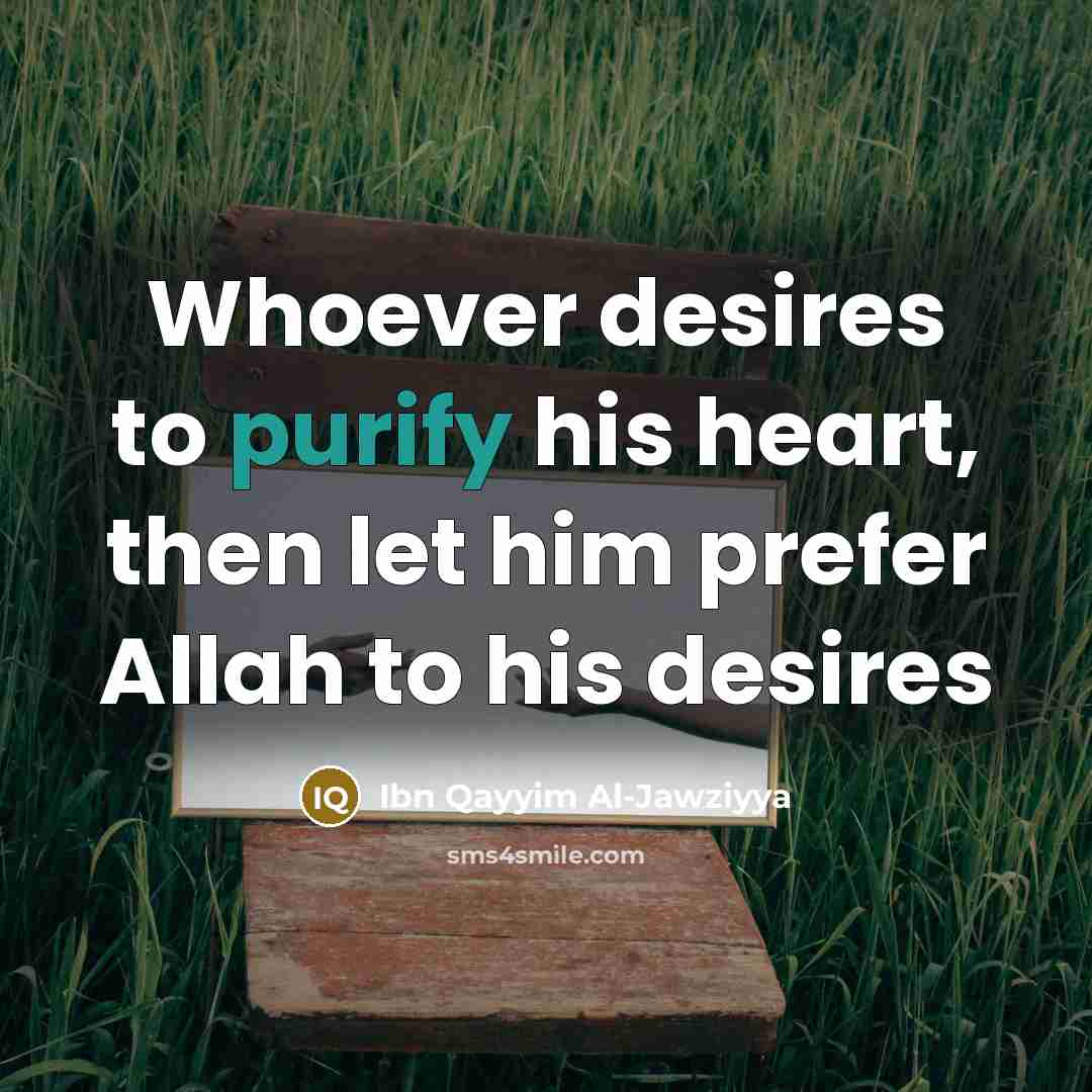 “Whoever desires to purify his heart, then let him prefer…” quote by Ibn Qayyim Al-Jawziyya