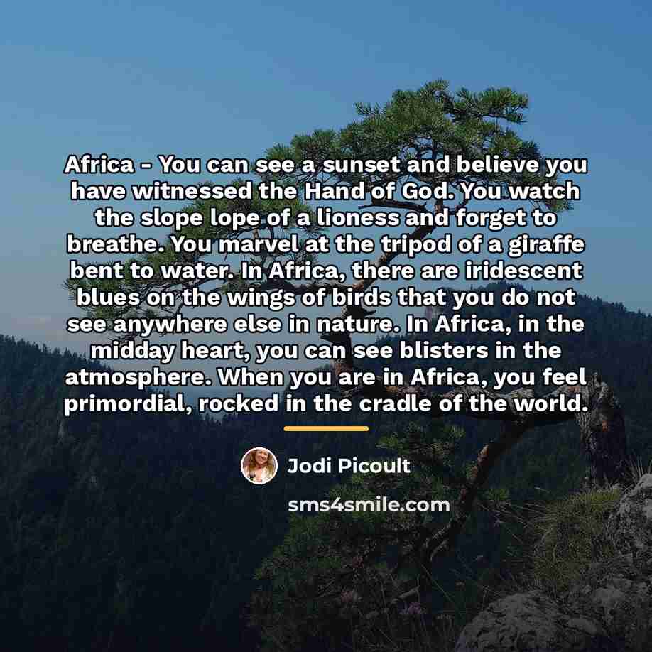 “Africa - You can see a sunset and believe you…” quote by Jodi Picoult
