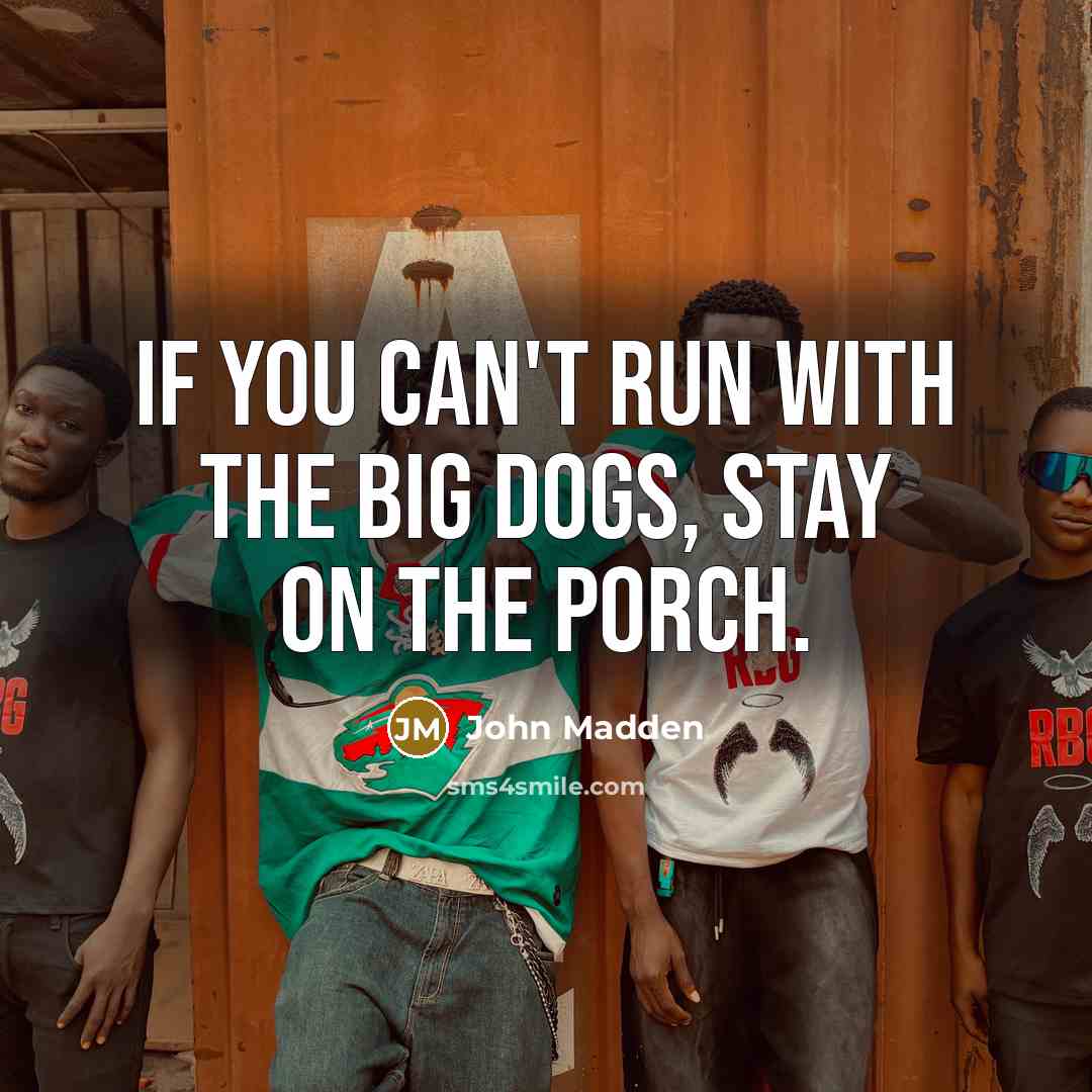 “If you can't run with the big dogs, stay on…” quote by John Madden