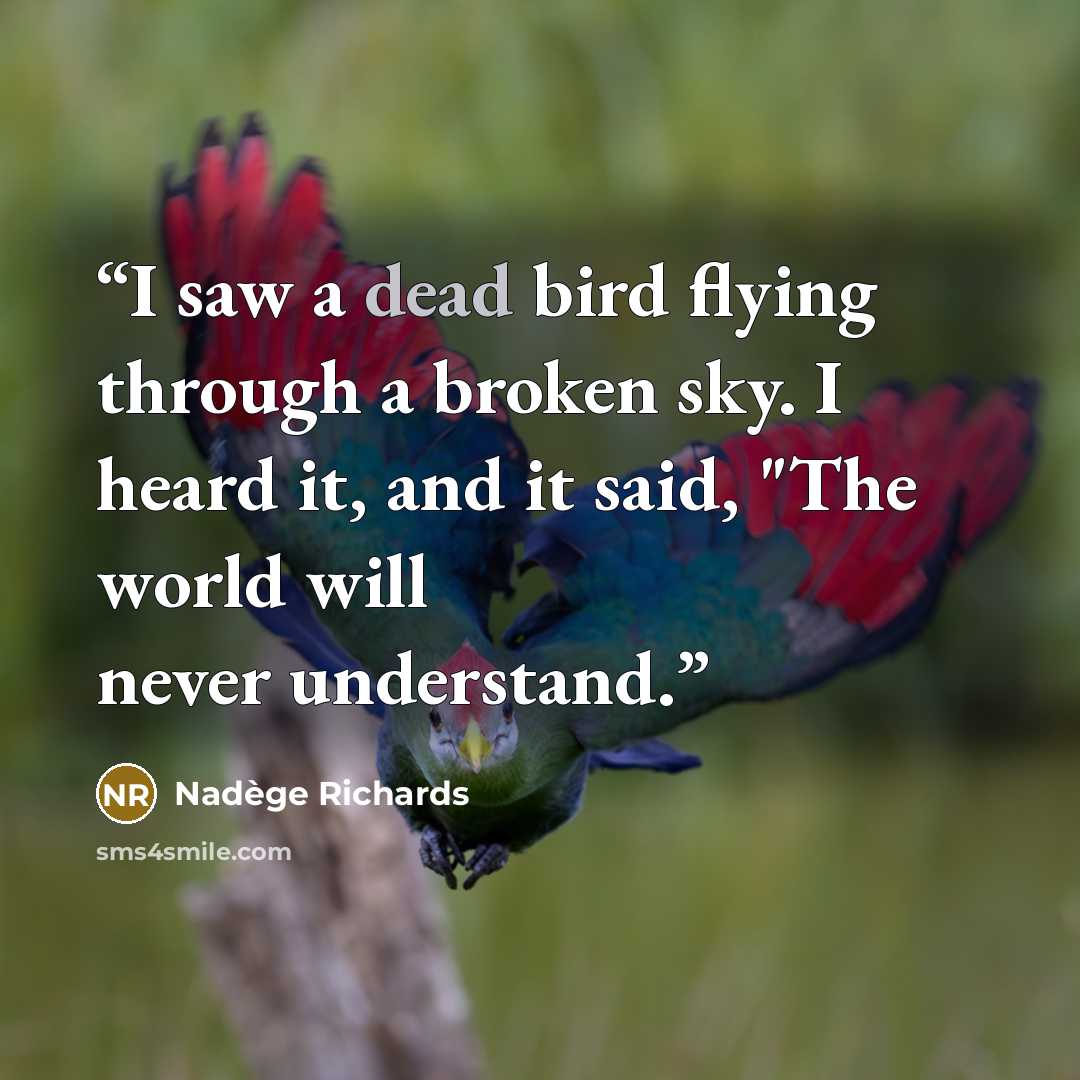 “I saw a dead bird flying through a broken sky. I heard it, and it said, "The world will never understand.” quote by Nadège Richards