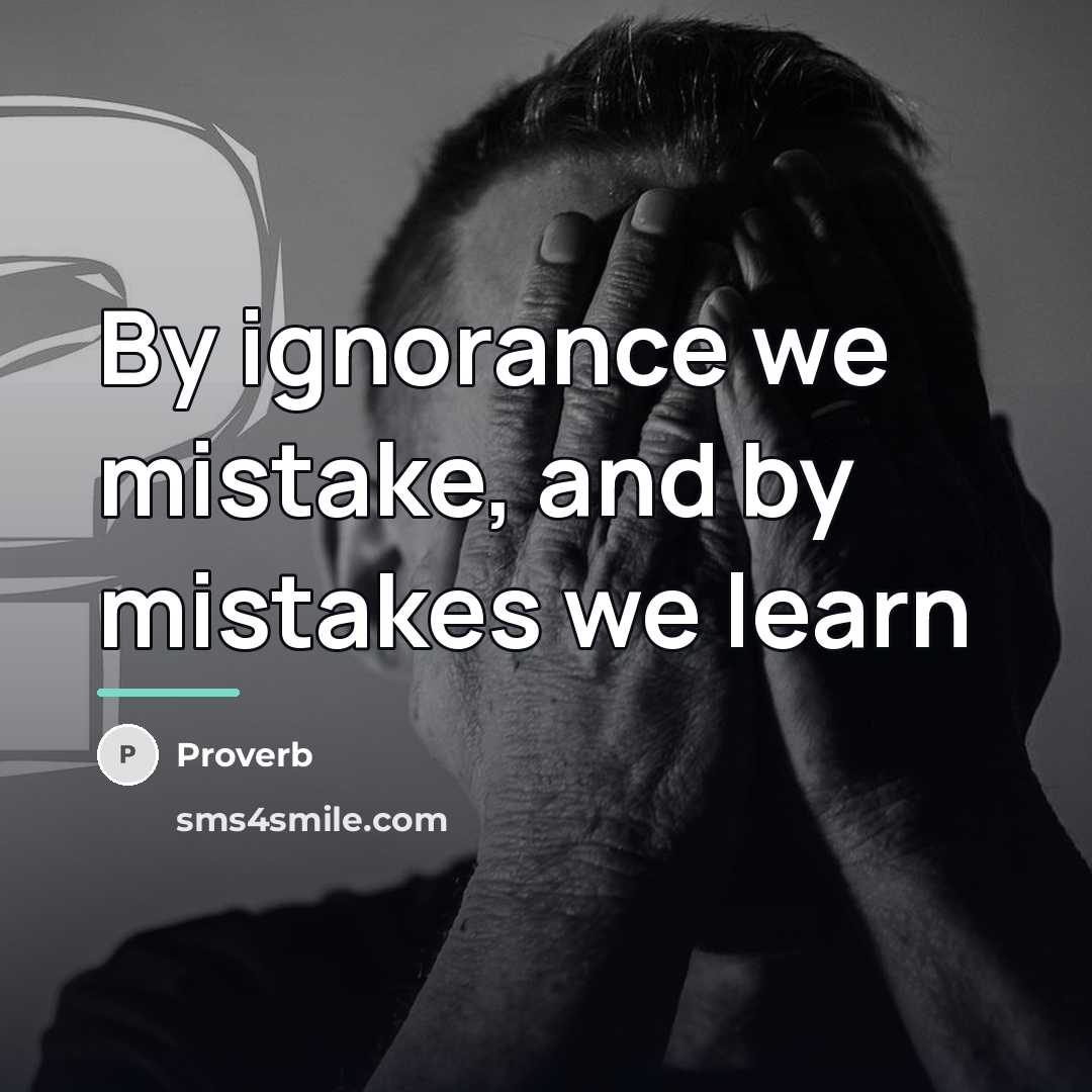 “By ignorance we mistake, and by mistakes we learn…” quote by Proverb