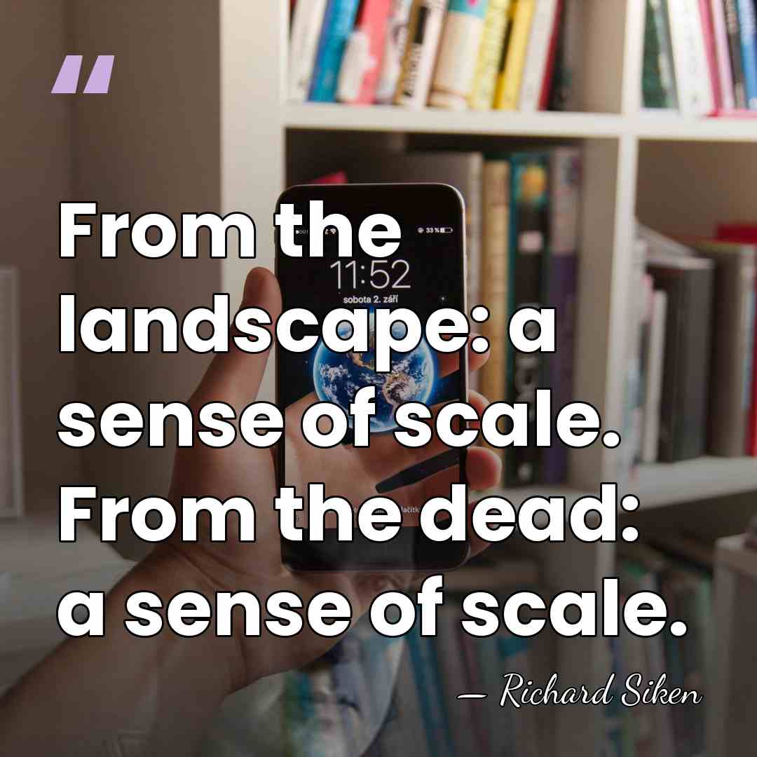 From the landscape: a sense of scale. From the dead: a sense&hellip; - Richard Siken