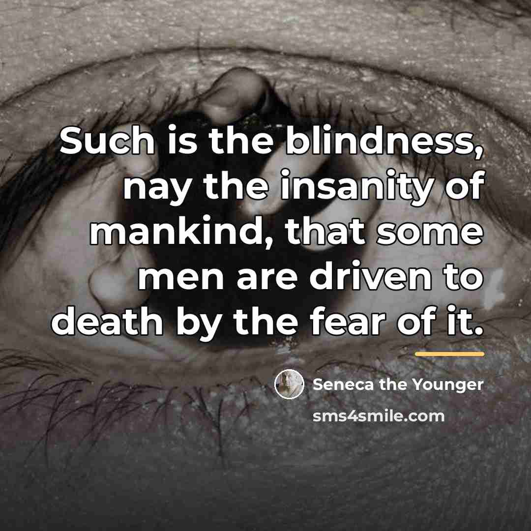 “Such is the blindness, nay the insanity of mankind, that…” quote by Seneca the Younger