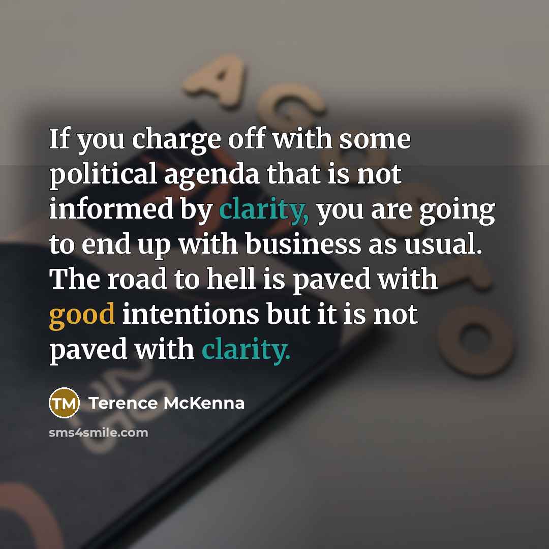 “If you charge off with some political agenda that is…” quote by Terence McKenna