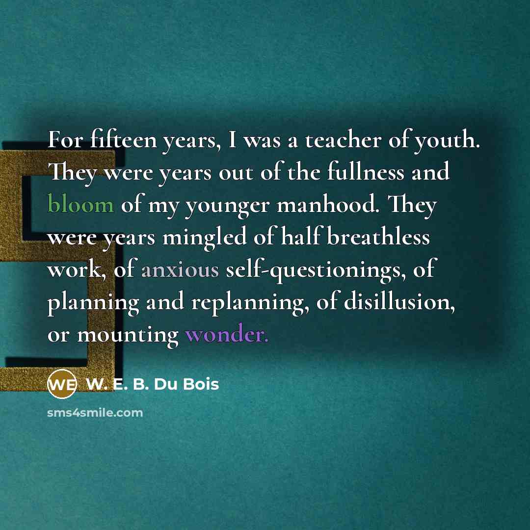 “For fifteen years, I was a teacher of youth. They…” quote by W. E. B. Du Bois