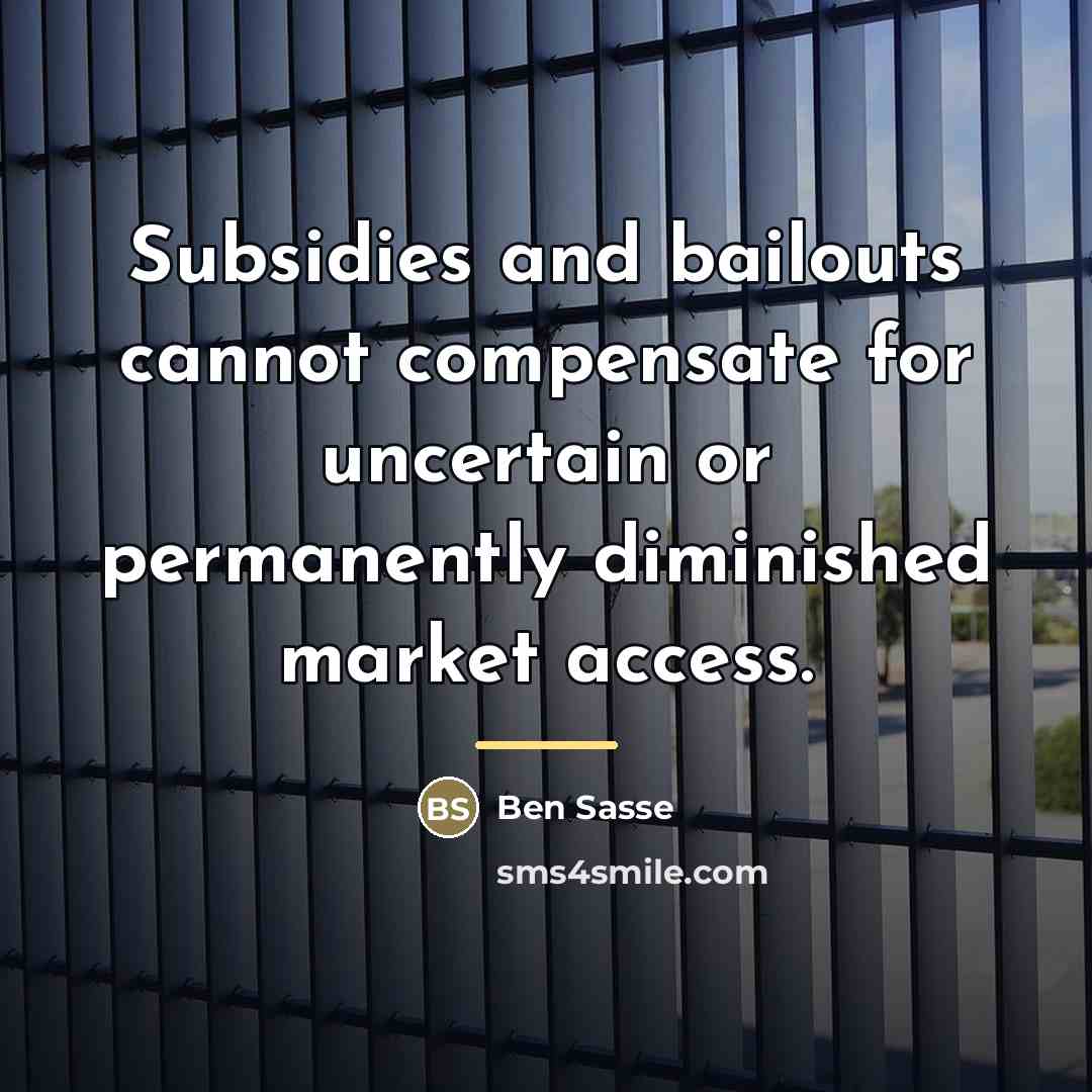 “Subsidies and bailouts cannot compensate for uncertain or permanently diminished…” quote by Ben Sasse
